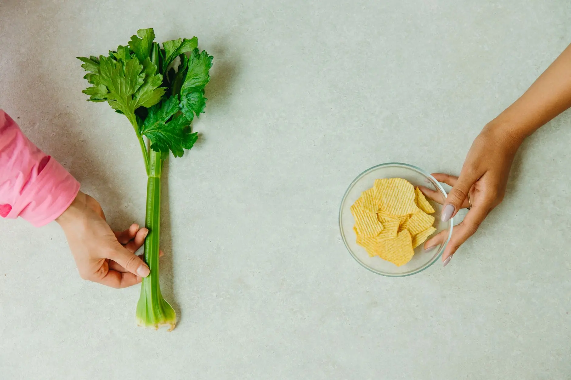 Vegan tarif: Karşılaştırmalı Analiz — Tatil Dönemi Rehberi